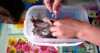 چگونه ماهی قزل آلا را در خانه نمک بزنیم شکم خوشمزه ماهی قزل آلا