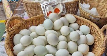 Свойства на патешки яйца.  Какви са ползите от патешките яйца?  Какви са ползите от патешките яйца?
